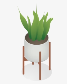 Vector Interior Plants Illustration, HD Png Download, Free Download