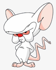 Pinky And The Brain Brain Png, Transparent Png, Free Download