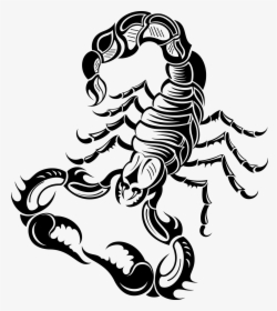 Tattoo Png Download - Transparent Background Scorpion Png, Png Download, Free Download