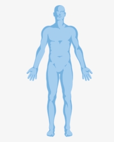 Free Png Human Body Outline - Transparent Background Human Body Outline Png, Png Download, Free Download