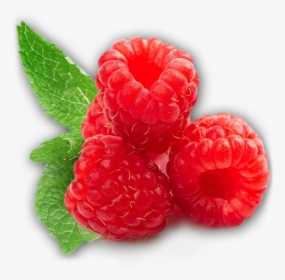 Rraspberry Png Image - Raspberry Png, Transparent Png, Free Download