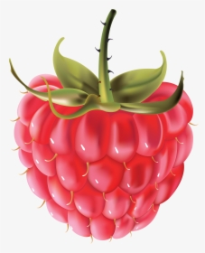 Rraspberry Png Image - Free Vector Raspberry, Transparent Png, Free Download