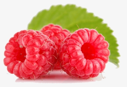 Raspberry Free Png Image - Raspberry .png, Transparent Png, Free Download