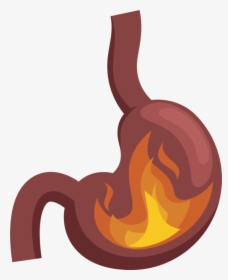 Stomach,food,orange - Stomach Pain Png, Transparent Png, Free Download