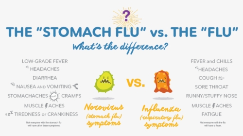 The Difference Between Stomach Flu And - Stomach Flu Symptoms, HD Png Download, Free Download