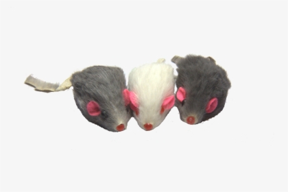 Mouse Animal Png, Transparent Png, Free Download