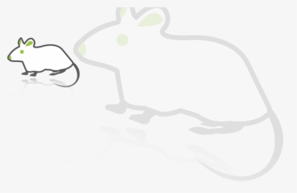 Animals Caron - Animals, HD Png Download, Free Download