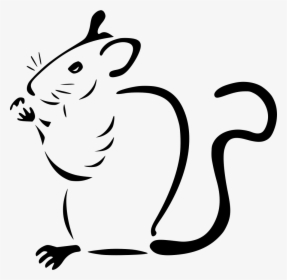Mouse - Mouse Profile, HD Png Download, Free Download