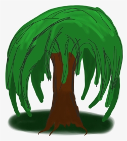 Cartoon Willow Tree - Cartoon Weeping Willow Tree Drawing, HD Png Download, Free Download