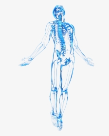 Transparent Human Figure Png - Sketch Human Body Png, Png Download, Free Download