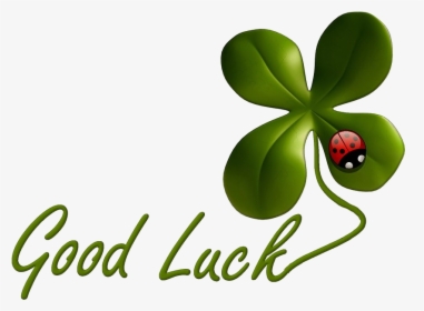 Nothing But Good Luck - Good Luck With Test, HD Png Download, Free Download