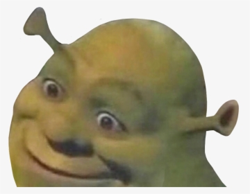 Memes Meme Funny Idk Shrek Shrekmeme Freetoedit Old People Staring Meme Hd Png Download Kindpng