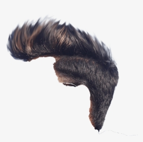 One Side Hair Png, Transparent Png, Free Download