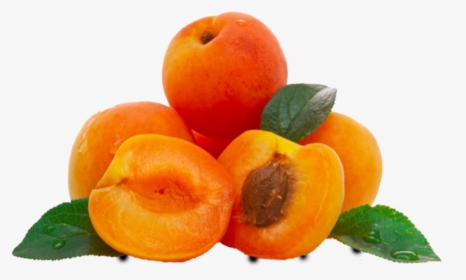 Transparent Apricot Png - Apricot Oil, Png Download, Free Download