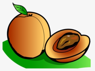 Png Download , Png Download - Apricots Clipart, Transparent Png, Free Download