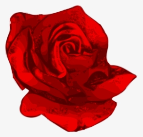 Plant,flower,garden Roses - Red Flower Vector Png, Transparent Png, Free Download