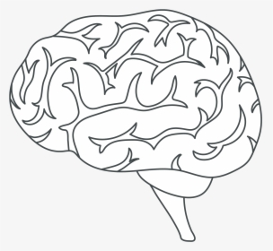 Brain Icon White Plexon - Cerebro Ilustracao Contorno, HD Png Download, Free Download