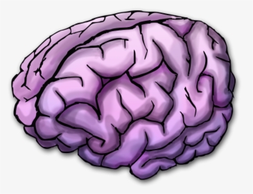 Vector Freeuse Stock Purple Transparent Brain - Purple Brain Transparent Background, HD Png Download, Free Download
