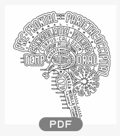 Aaron Kuehn Typogram - Brain Typogram, HD Png Download, Free Download