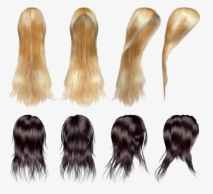 Hair Wig Png - Wigs On Transparent Background, Png Download, Free Download