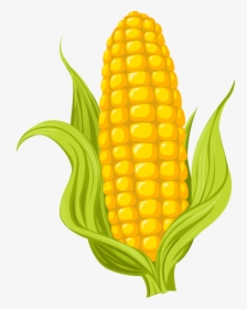 Corn Clipart Transparent Background - Corn Drawing, HD Png Download, Free Download