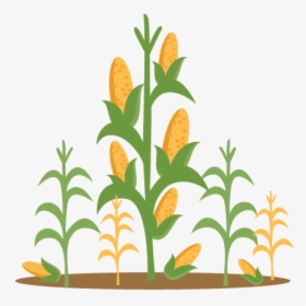 Clip Art Corn Stalks - Corn Stalks Transparent, HD Png Download, Free Download