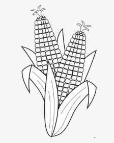 Corn Clipart Easy - Fruits And Vegetables Clipart Black And White, HD Png Download, Free Download