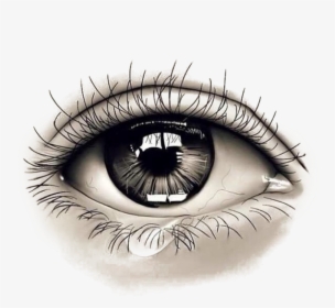 28 Collection Of Eyes Watering Drawing - Eye Drawing Png, Transparent Png, Free Download