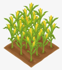Plants Clipart Corn , Png Download - Crop Clipart, Transparent Png, Free Download