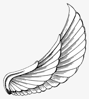 Vector Royalty Free Download To Download Click On - Wings Hd Tattoo Design, HD Png Download, Free Download