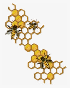 #mq #bee #bees #insect #flying #honey - Honey Bee Hive Drawing, HD Png Download, Free Download