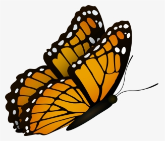 Flying Butterfly Clipart Image, HD Png Download, Free Download