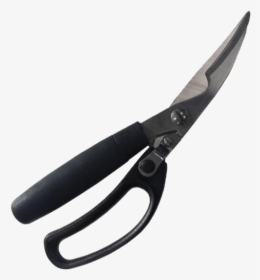 Meat Cutting Shears - Blade, HD Png Download, Free Download