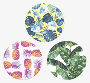 Transparent Plant Top View Png - Tropical Popsocket, Png Download, Free Download