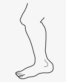 Leg Clipart Black And White, HD Png Download, Free Download