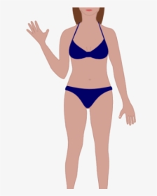 Woman Body Outline - Female Human Body Cartoon, HD Png Download, Free Download