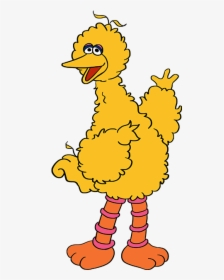 How To Draw Big Bird From Sesame Street - Sesame Street Big Bird Drawing, HD Png Download, Free Download