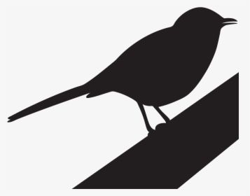 Transparent Trash Dove Png - Mockingbird Images Black And White, Png Download, Free Download
