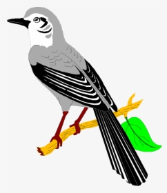 Mockingbird Svg Clip Arts - Mockingbird Clip Art, HD Png Download, Free Download