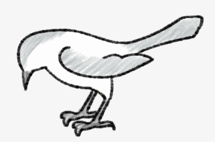 Mockingbird Education - Easy To Draw Mockingbird, HD Png Download, Free Download