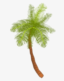 Coconut Tree Clip Art, HD Png Download, Free Download