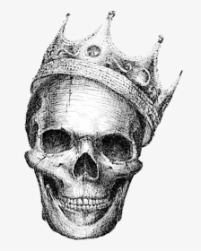 Skeleton Skull Calavera Human Symbolism Drawing Clipart - Black And White Skull Drawings, HD Png Download, Free Download