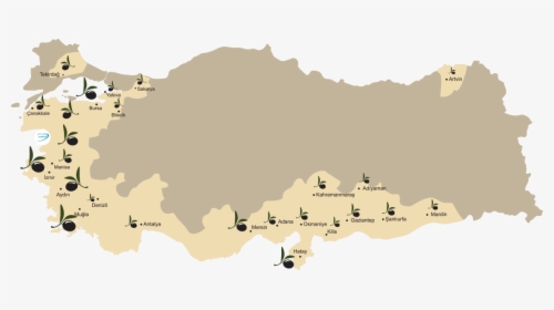 Turkey Olive Map - Outline Turkey Country Map, HD Png Download, Free Download
