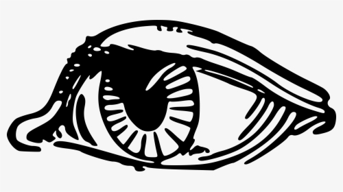 Eyeball Clip Arts - Human Eye, HD Png Download, Free Download