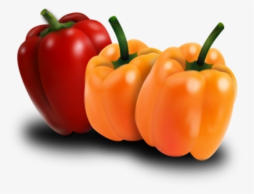 Pimento, Peppers, Vegetables, Horta, Plants, Nature - Pimientos Png, Transparent Png, Free Download