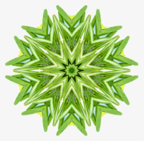Rosemary Kaleidoscope - Roblox Video Star Egg, HD Png Download, Free Download