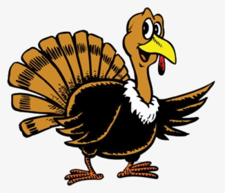 Domesticated-turkey - Thanksgiving Turkey Cartoon, HD Png Download, Free Download
