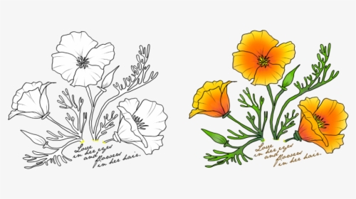 Clip Art California Poppy Drawing - California State Flower Drawing, HD Png Download, Free Download