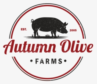 Autumn Olive 1, HD Png Download, Free Download