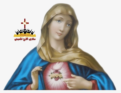 Virgin Mary Png , Transparent Cartoons, Png Download, Free Download